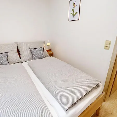 Nová Oleška *